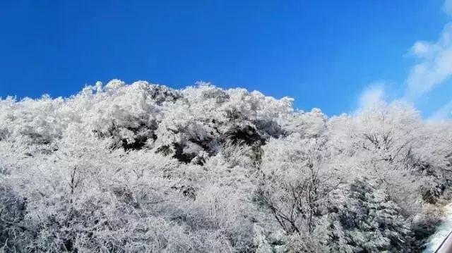 探索小学生托管班如何可以做大吗?,发现答案