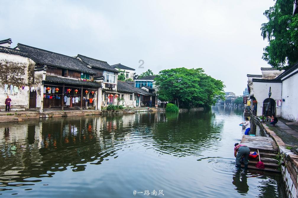 动物帮帮忙保卫家园
